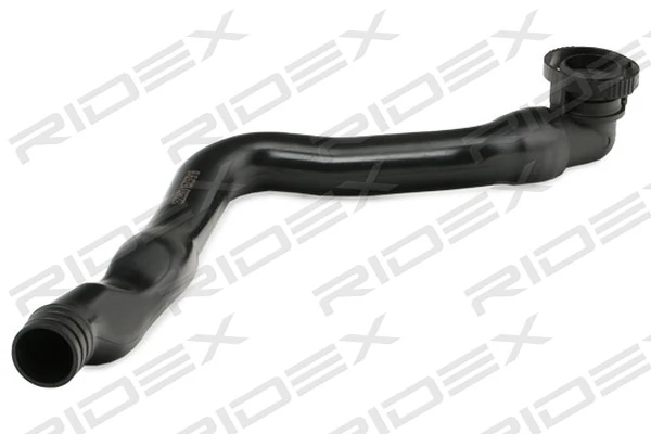 Hose, crankcase ventilation