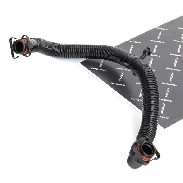 Hose, crankcase ventilation