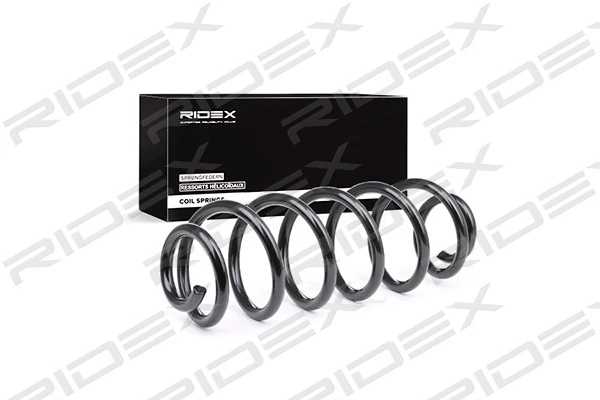 Suspension Spring