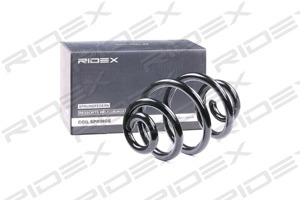 Suspension Spring