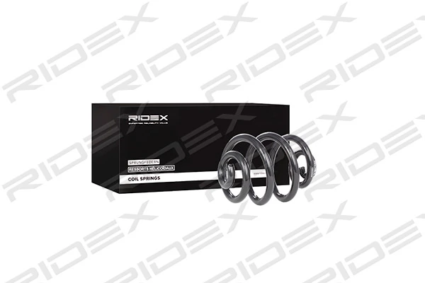 Suspension Spring
