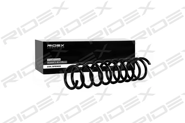 Suspension Spring