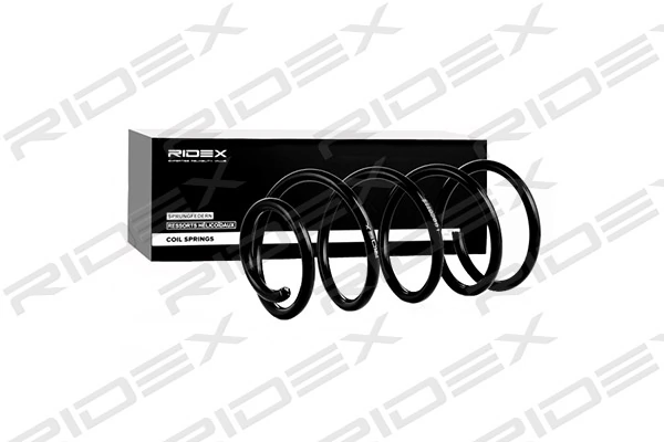 Suspension Spring
