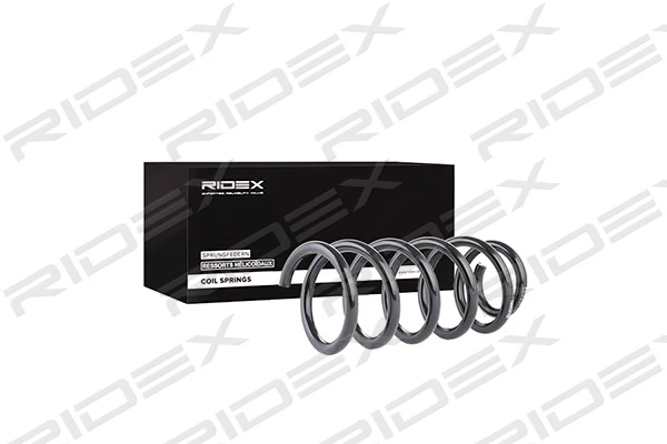 Suspension Spring