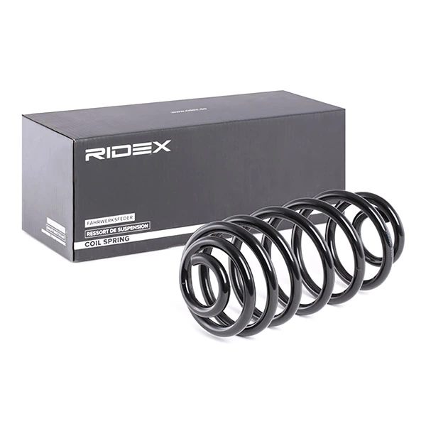 Suspension Spring