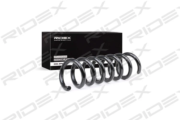 Suspension Spring