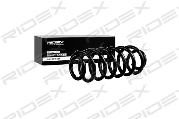 Suspension Spring
