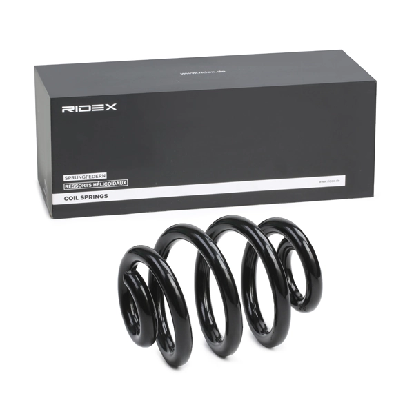 Suspension Spring