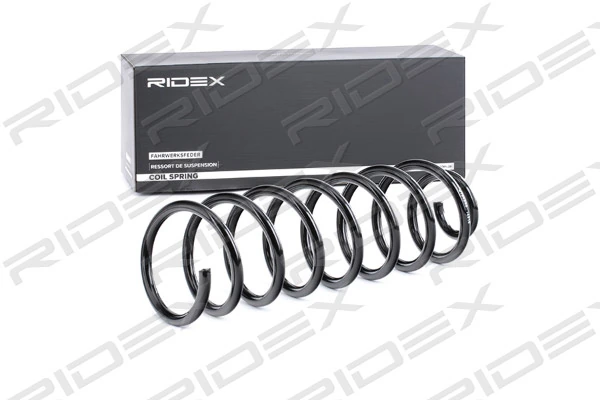 Suspension Spring