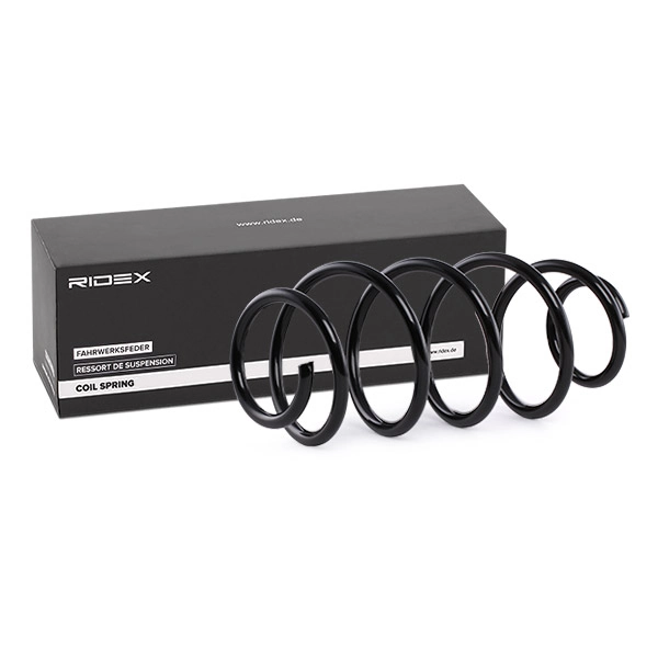 Suspension Spring