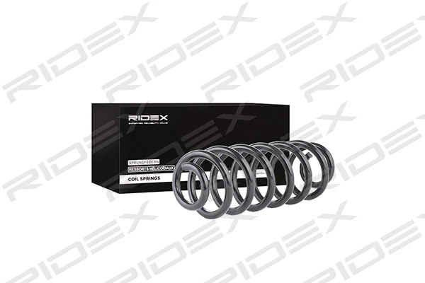 Suspension Spring