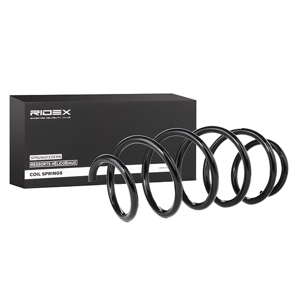 Suspension Spring