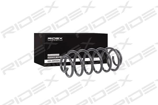 Suspension Spring