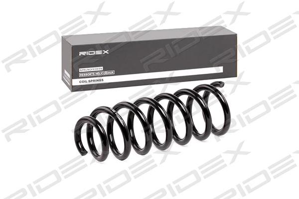 Suspension Spring