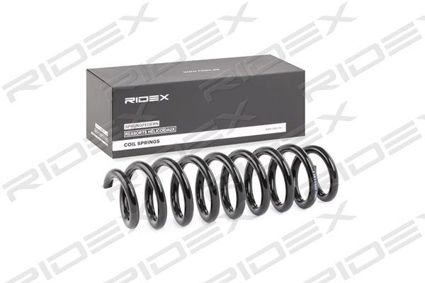 Suspension Spring