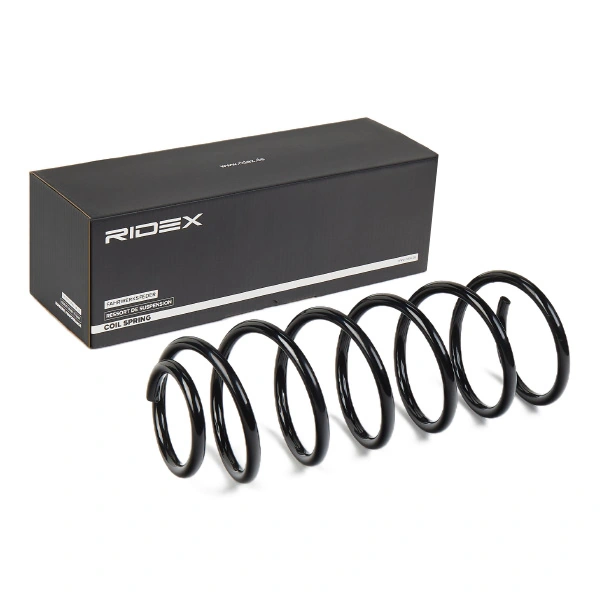 Suspension Spring