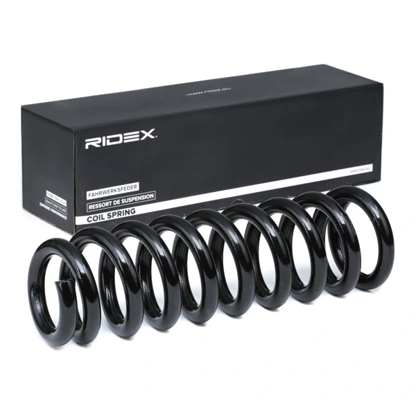 Suspension Spring
