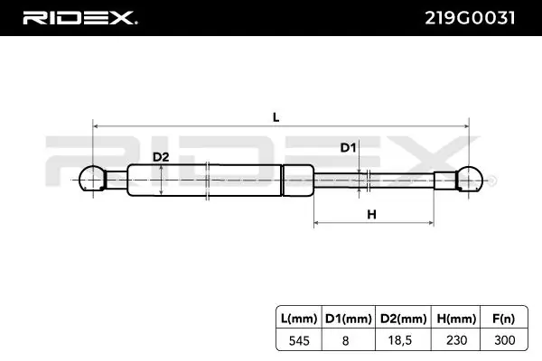 Gas Spring, boot/cargo area
