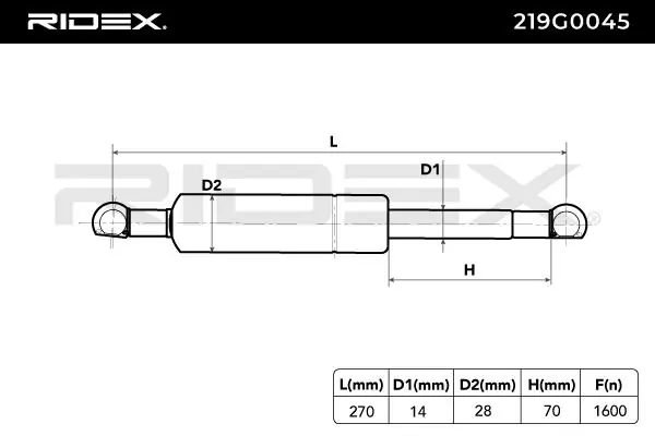 Gas Spring, boot/cargo area