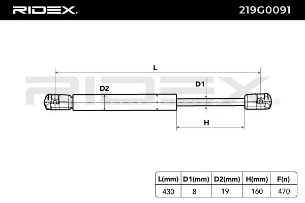 Gas Spring, boot/cargo area