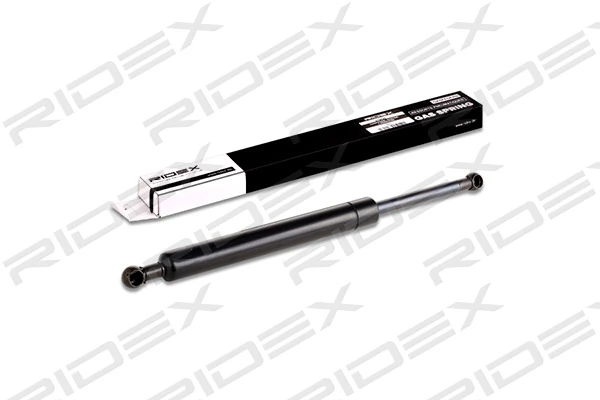Gas Spring, boot/cargo area