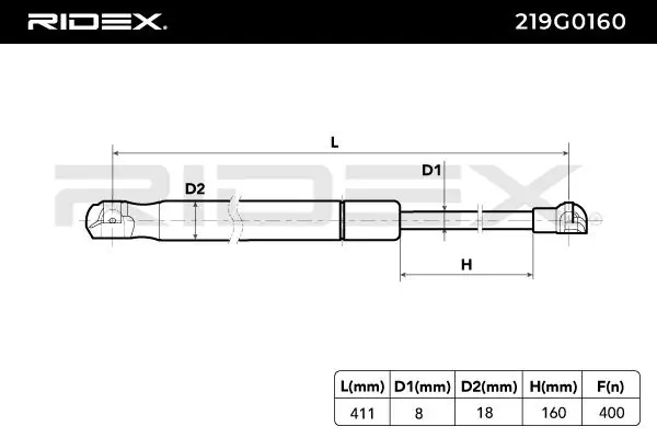 Gas Spring, boot/cargo area