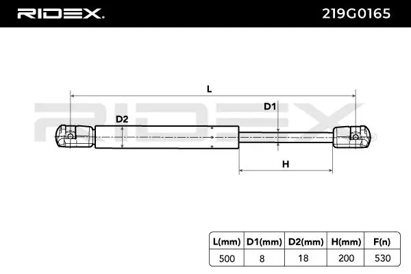 Gas Spring, boot/cargo area
