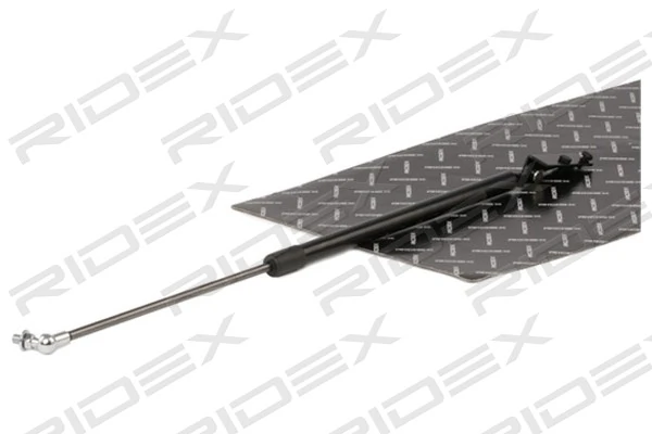 Gas Spring, boot/cargo area