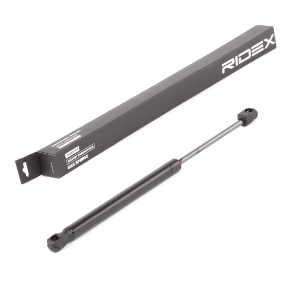 Gas Spring, boot/cargo area