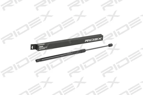 Gas Spring, boot/cargo area