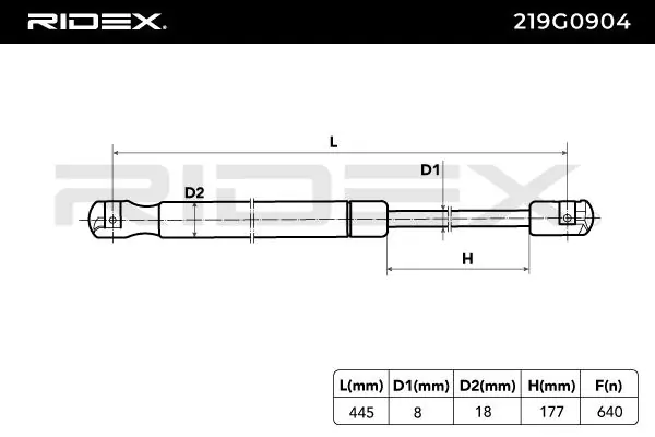 Gas Spring, boot/cargo area
