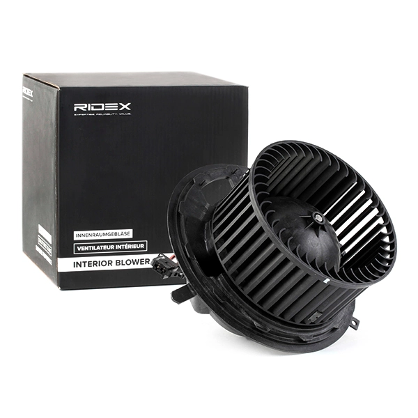 Interior Blower
