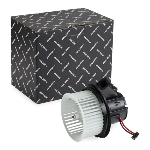 Interior Blower