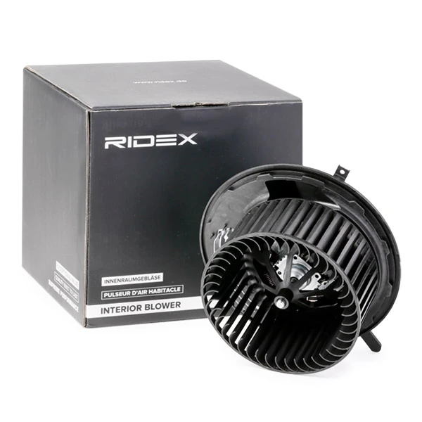 Interior Blower