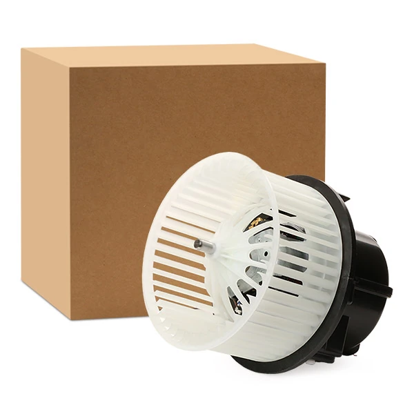 Interior Blower