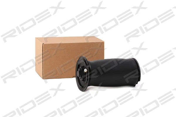 Air Spring, suspension