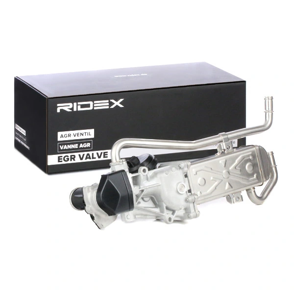 EGR Valve