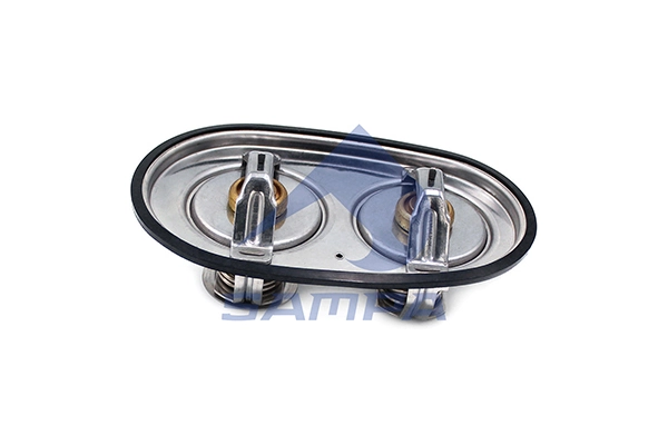 Thermostat, coolant