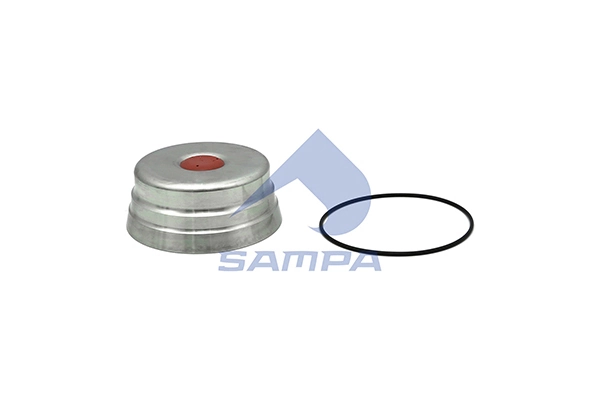Cap, wheel bearing