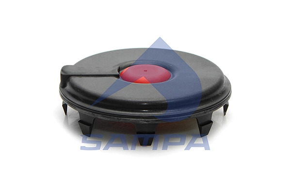 Cap, wheel bearing