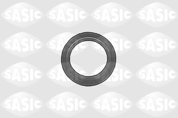 Shaft Seal, differential