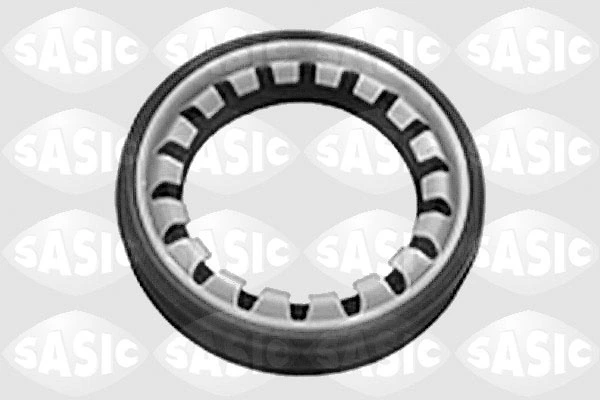 Shaft Seal, differential