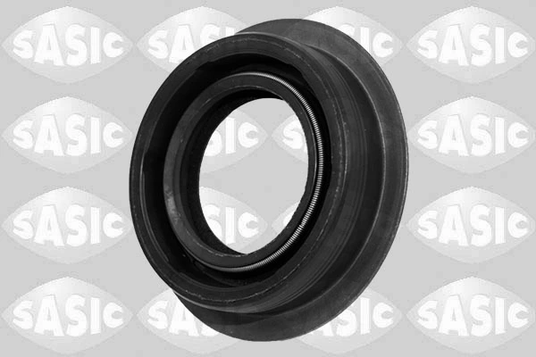 Shaft Seal, differential