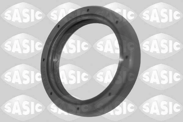 Shaft Seal, differential