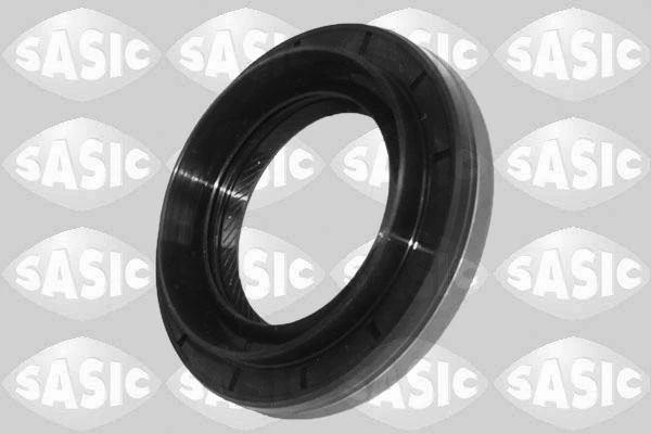 Shaft Seal, differential
