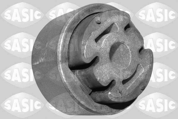 Mounting, control/trailing arm