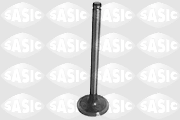 Intake Valve