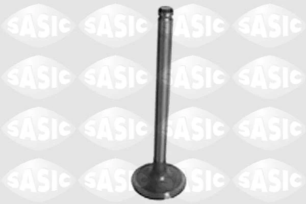 Intake Valve