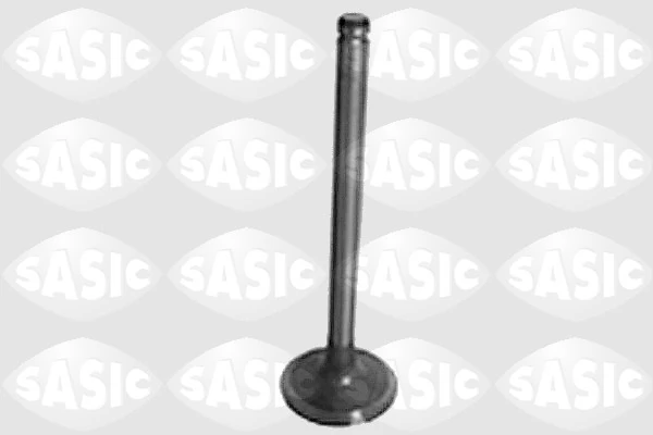 Intake Valve