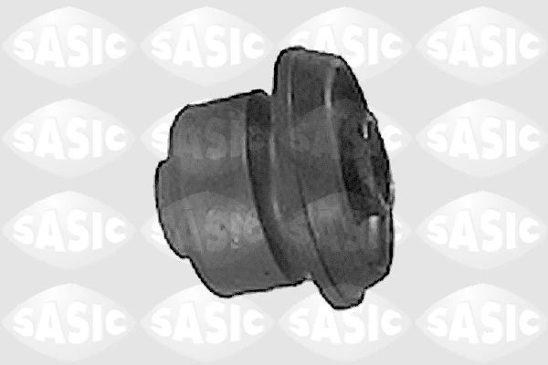 Mounting, control/trailing arm